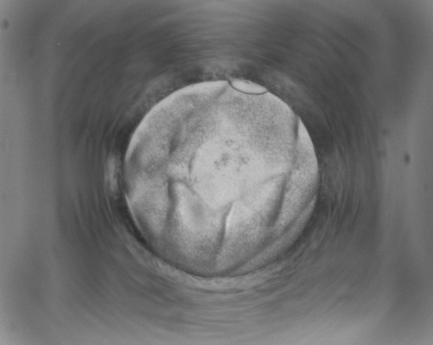 X0000061110038200512161425