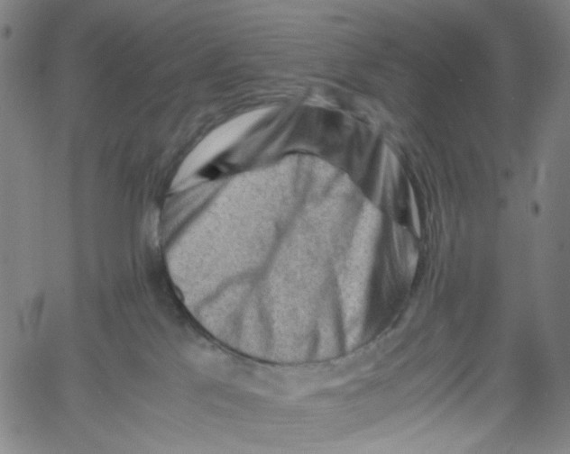 X0000061110041200512161425