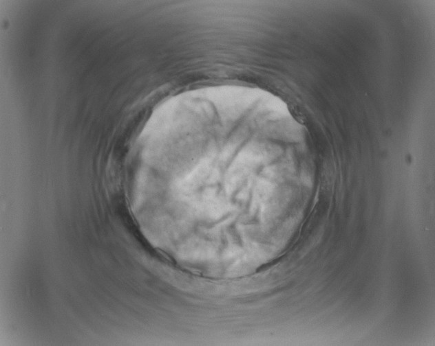 X0000061110043200512161425