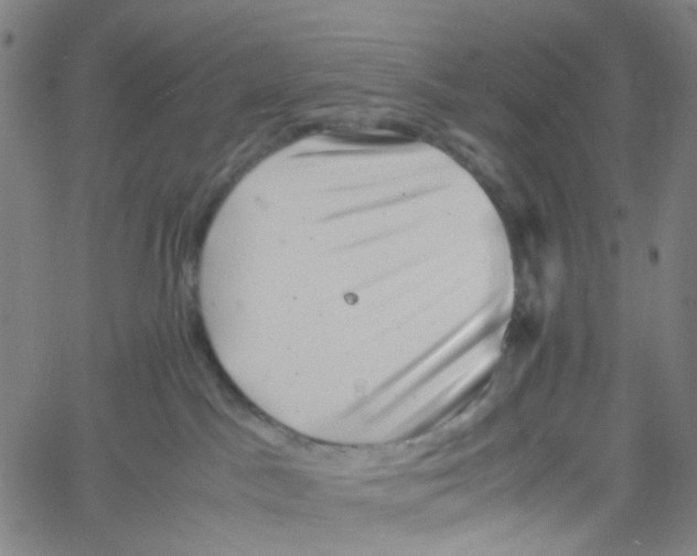 X0000061110045200512161425