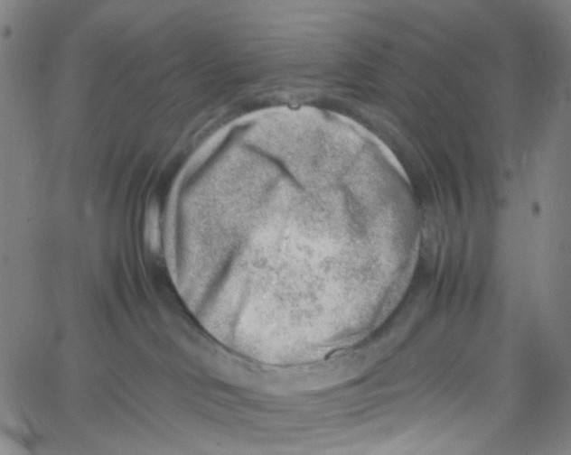 X0000061110046200512161425