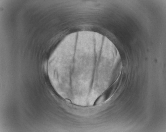 X0000061110047200512161425