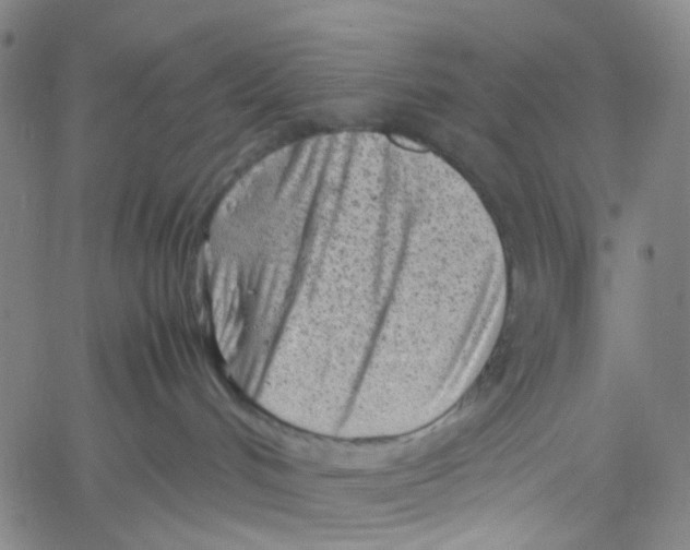 X0000061110048200512161425