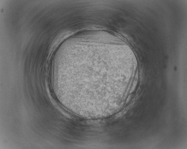 X0000061110049200512161424