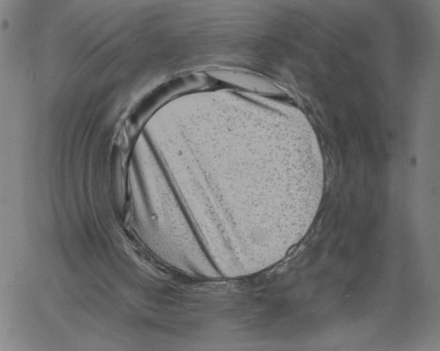 X0000061110050200512161424