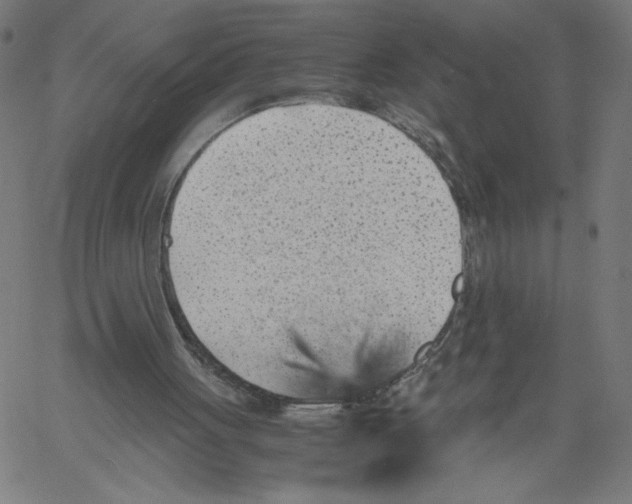 X0000061110051200512161424