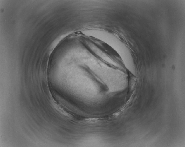 X0000061110052200512161424