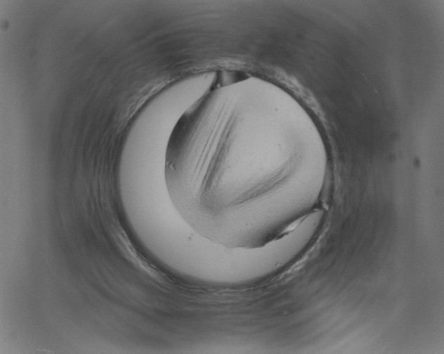X0000061110057200512161424