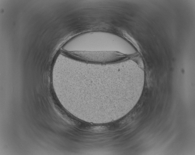 X0000061110059200512161424