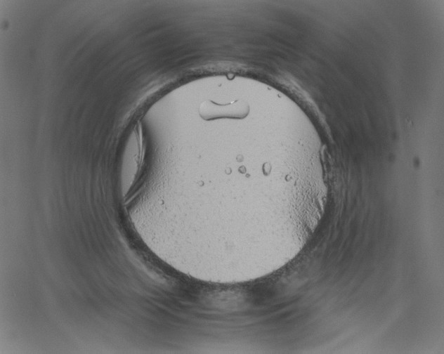 X0000061110063200512161424