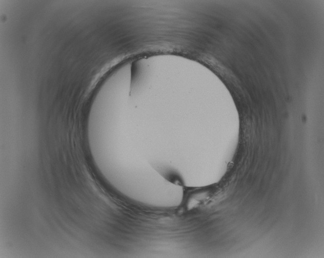 X0000061110064200512161424
