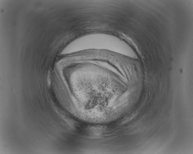 X0000061110069200512161424