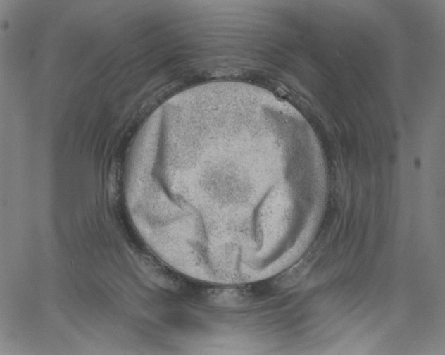 X0000061110074200512161424