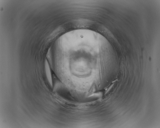 X0000061110076200512161424