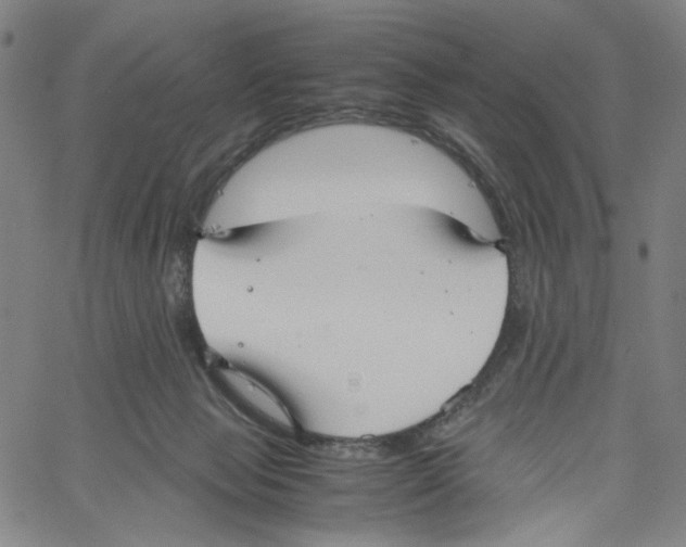 X0000061110077200512161424