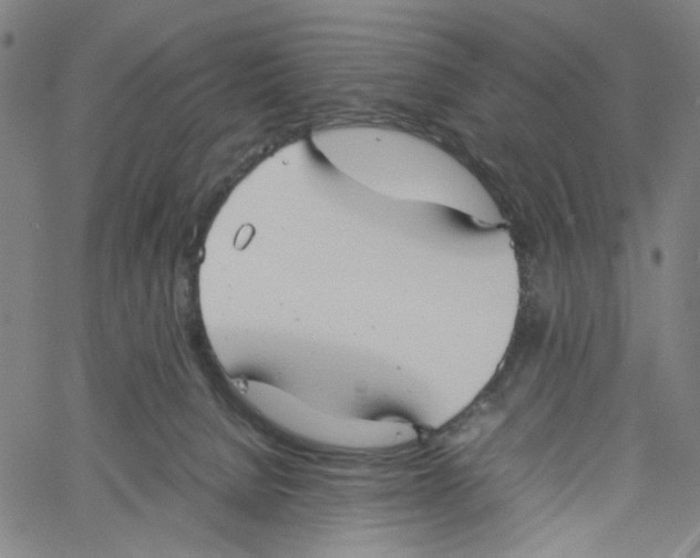 X0000061110080200512161424