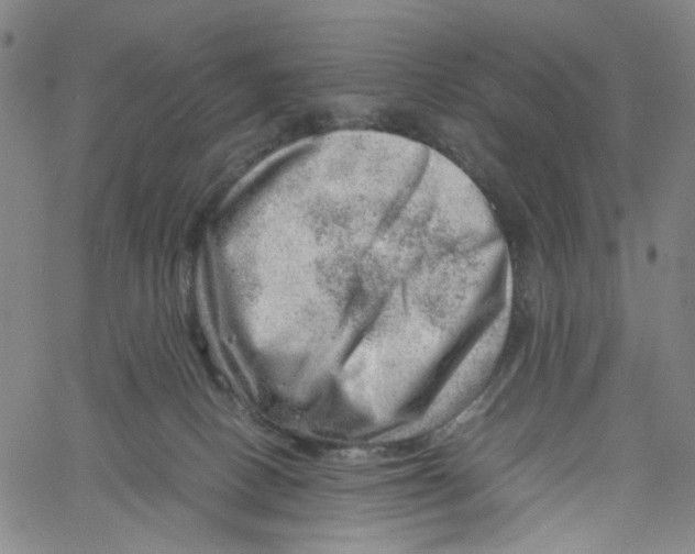 X0000061110082200512161424