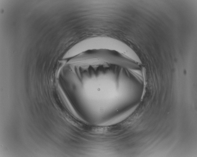 X0000061110084200512161424