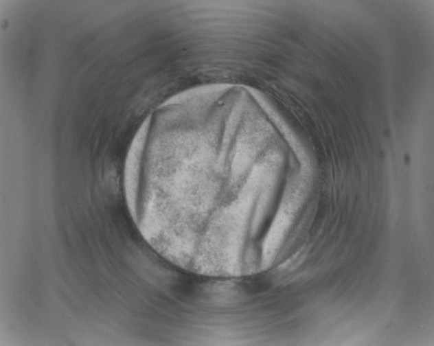 X0000061110086200512161424