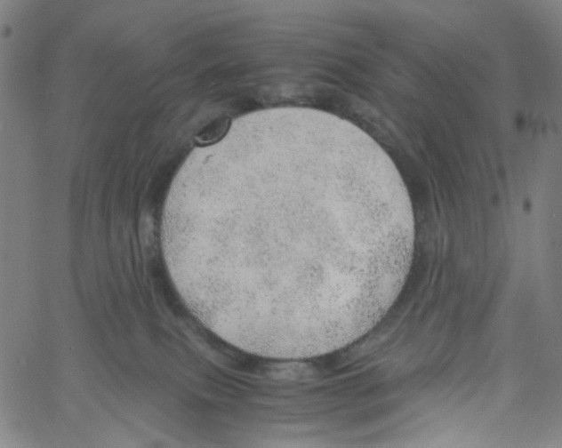 X0000061110087200512161424