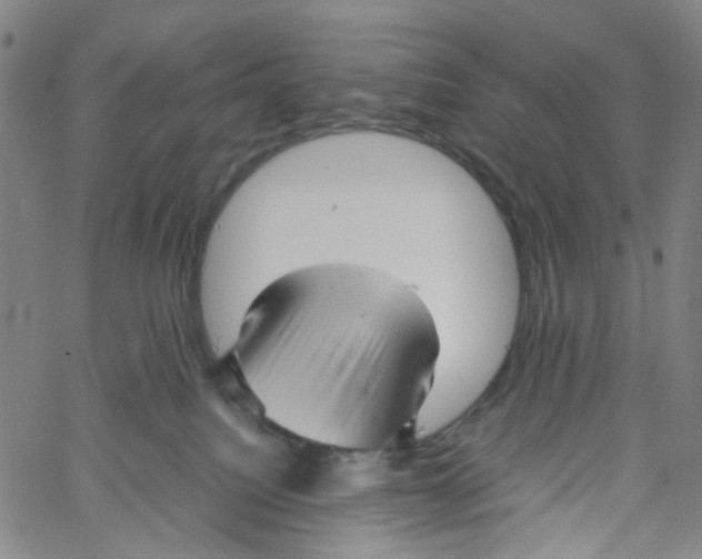 X0000061110088200512161424
