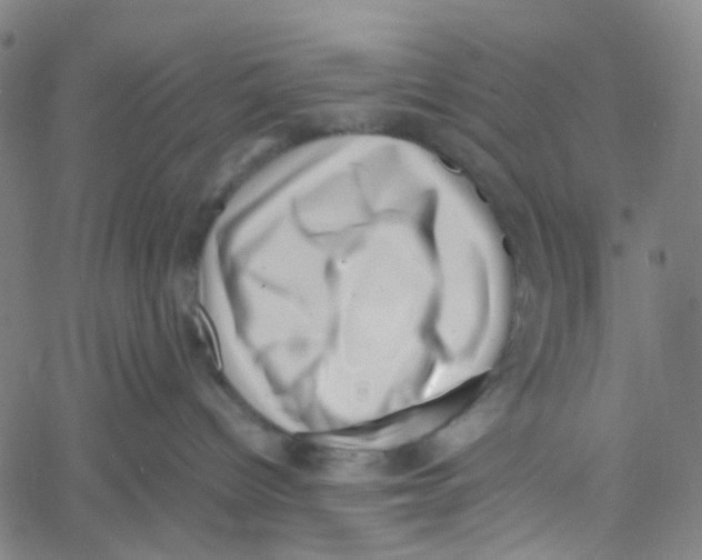 X0000061110096200512161425