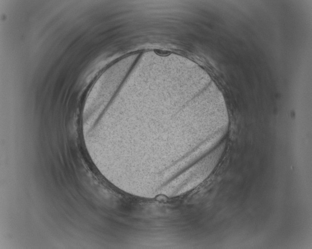 X0000061110098200512161424