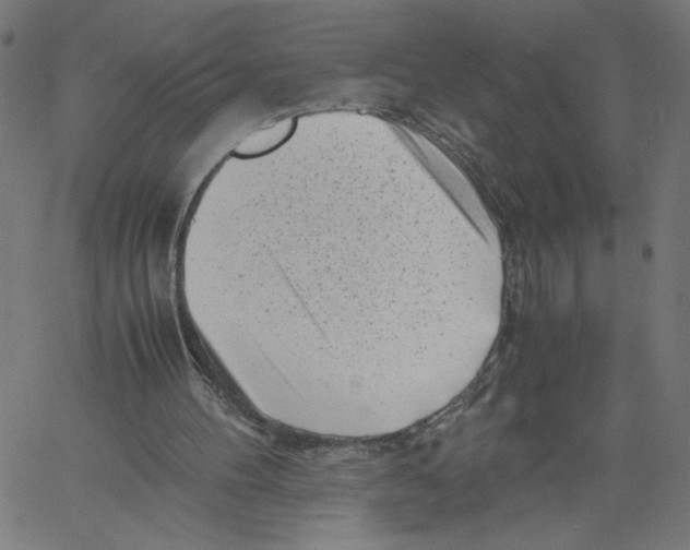 X0000061110100200512161424