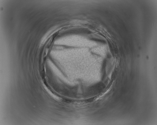 X0000061110101200512161424