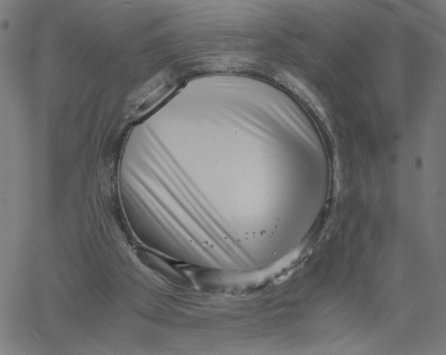 X0000061110105200512161424