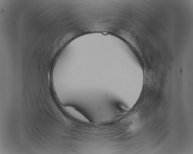 X0000061110109200512161424