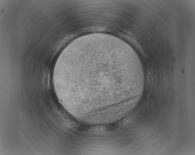 X0000061110110200512161424