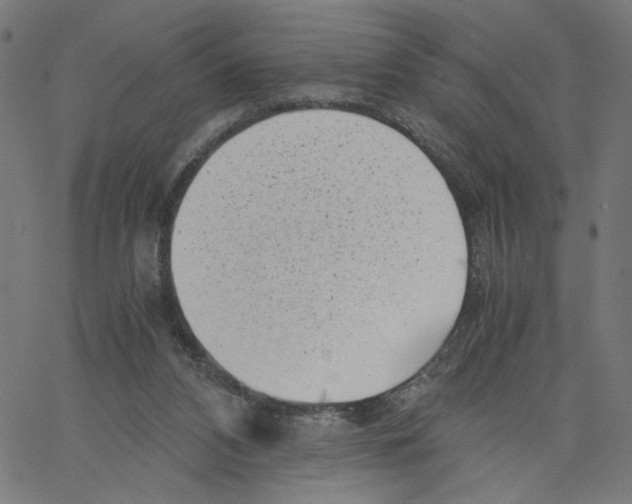 X0000061110112200512161423