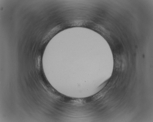X0000061110118200512161423