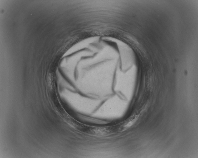 X0000061110121200512161423