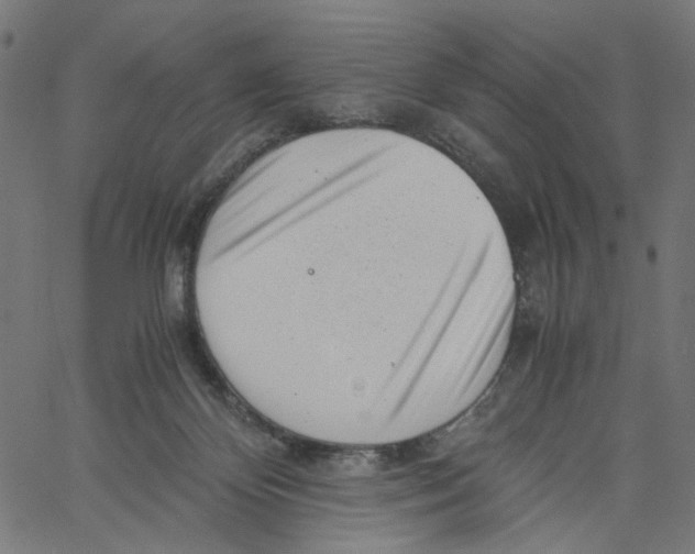 X0000061110124200512161423