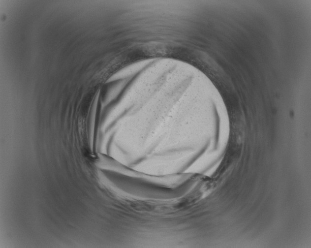 X0000061110125200512161423