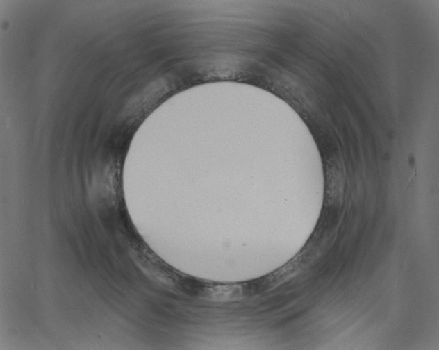 X0000061110126200512161423