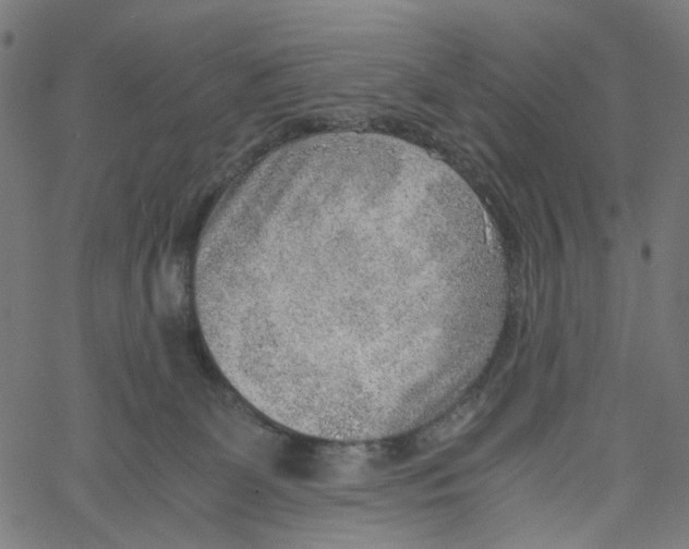 X0000061110131200512161423
