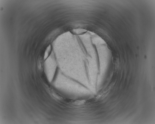 X0000061110138200512161423