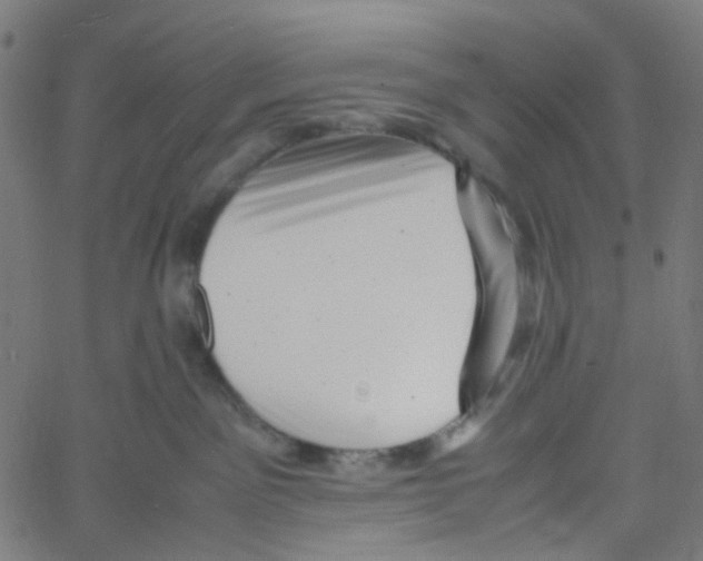 X0000061110141200512161423