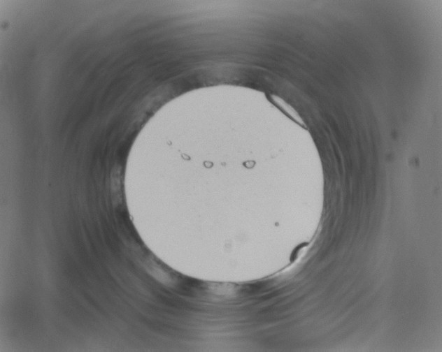X0000061110144200512161423