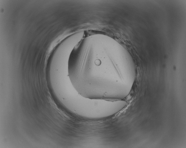 X0000061110150200512161422