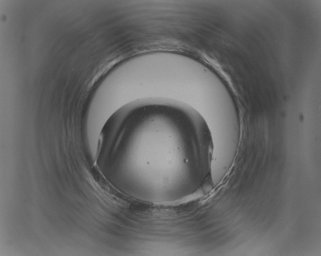 X0000061110154200512161422