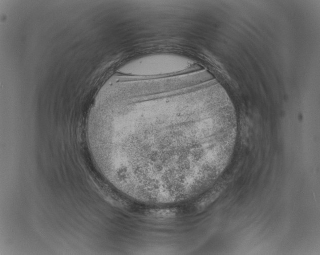 X0000061110161200512161422