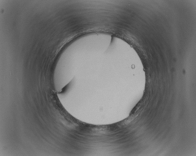 X0000061110164200512161422