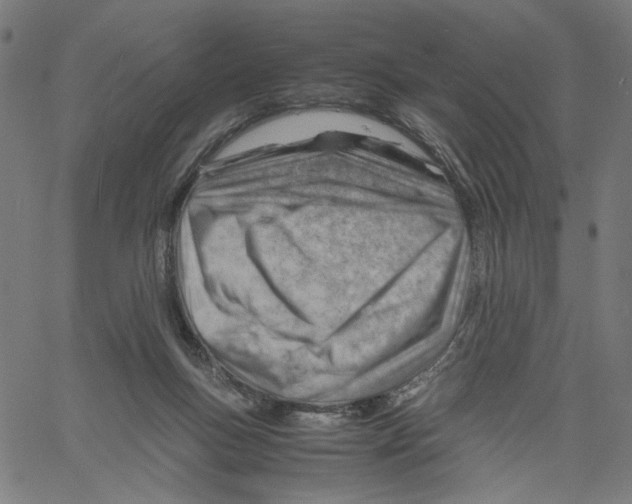 X0000061110167200512161423
