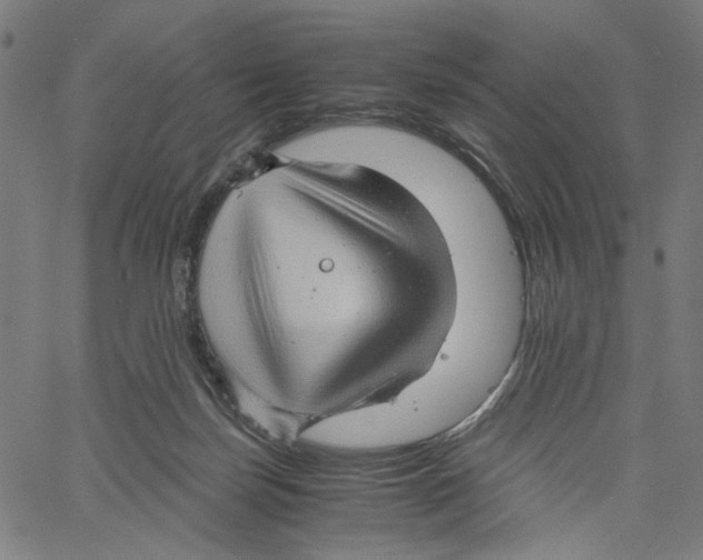 X0000061110171200512161423