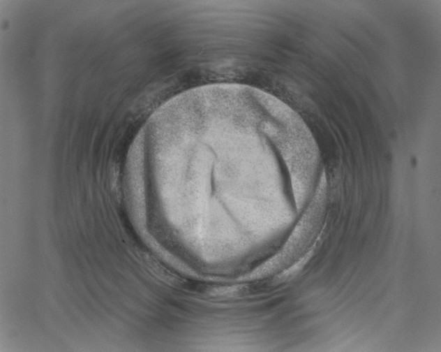 X0000061110178200512161423