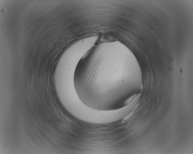 X0000061110180200512161423